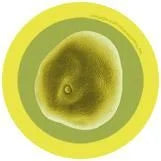 Hay Fever (Grass Pollen) Giant Microbes Plush