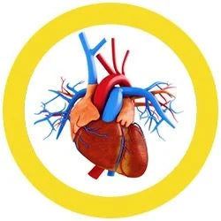 Heart of Gold Giant Microbes Plush