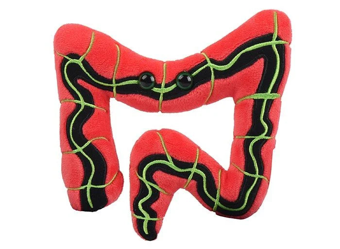 Irritable Bowel Syndrome Giant Microbes Plush