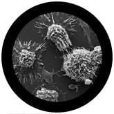 Cancer (Malignant neoplasm) Giant Microbes Plush