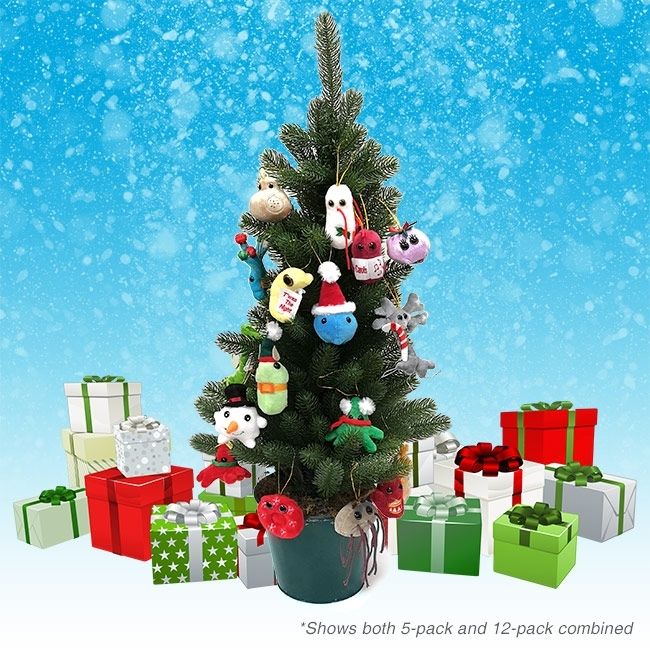 Germ Christmas Box