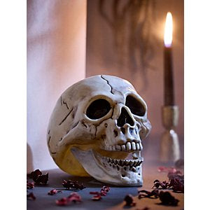 Halloween Skull Prop