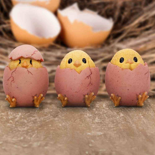Three Wise Chicks Ornaments