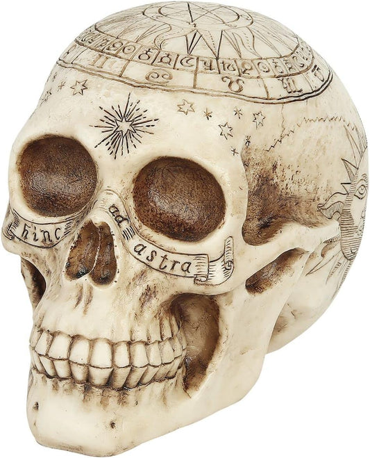 Astrological Skull 29cm
