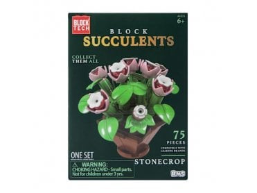 BlockTech Block Succulents Stonecrop Kit