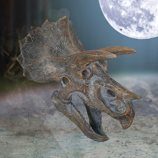 Triceratops Head 23cm Statue
