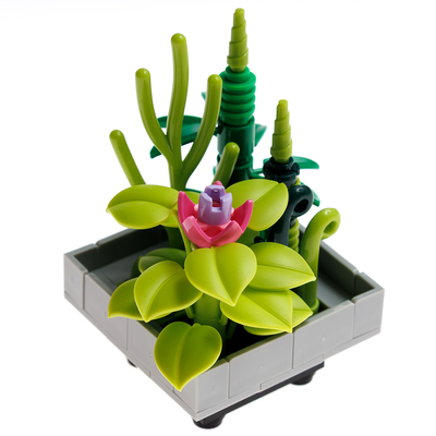 BlockTech Block Succulents Buckhorn Cholla Kit