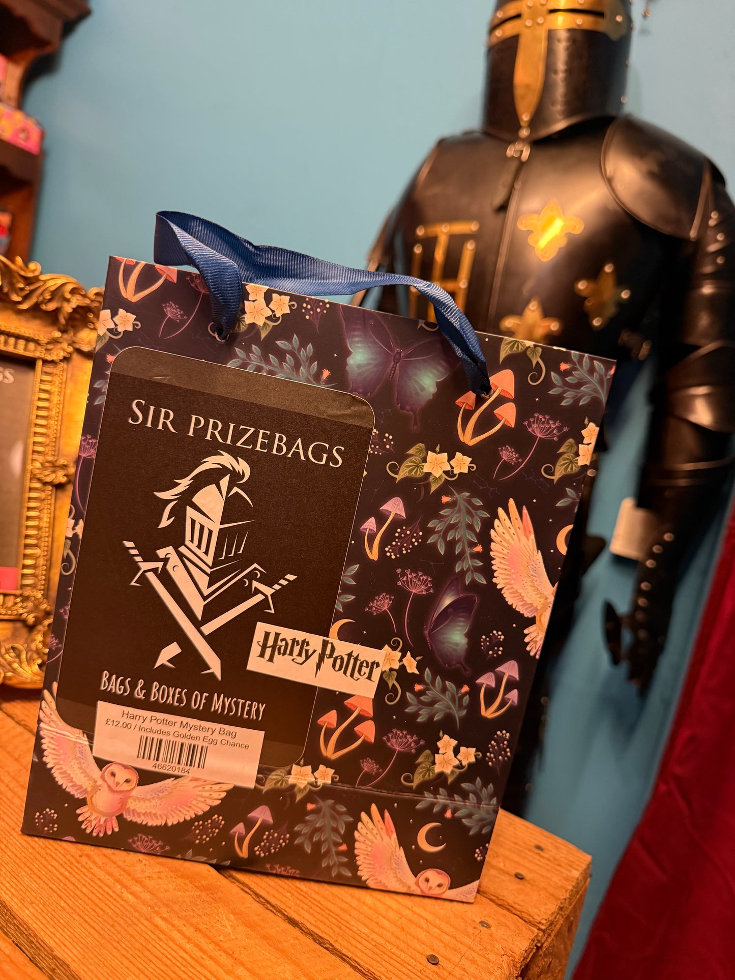 Harry Potter Mystery Bag