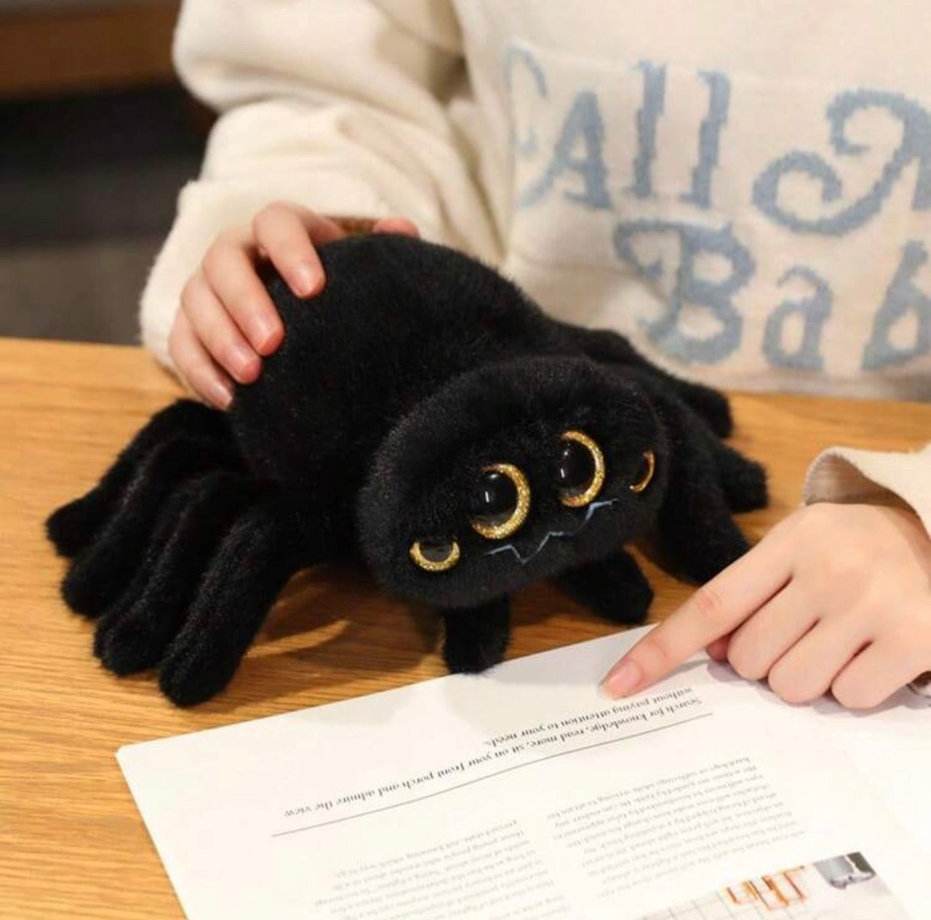 Jumping Spider 25cm Plush