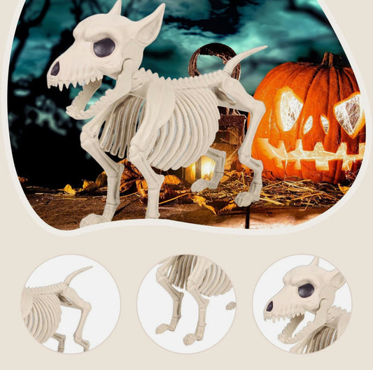 Dog Skeleton Prop