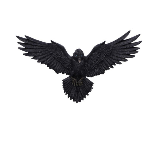 Flight Of The Raven 35cm Statue