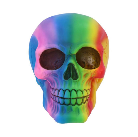 Rainbow 15.5cm Skull