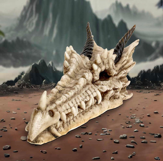 Draco Skull Incense Holder 24cm