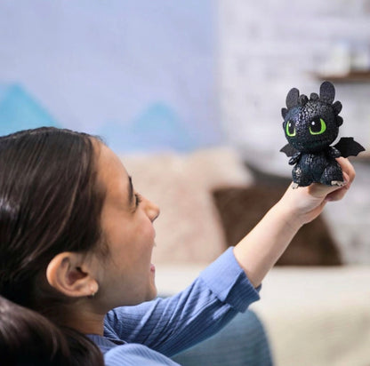 How to Train your Dragon Mini Plush