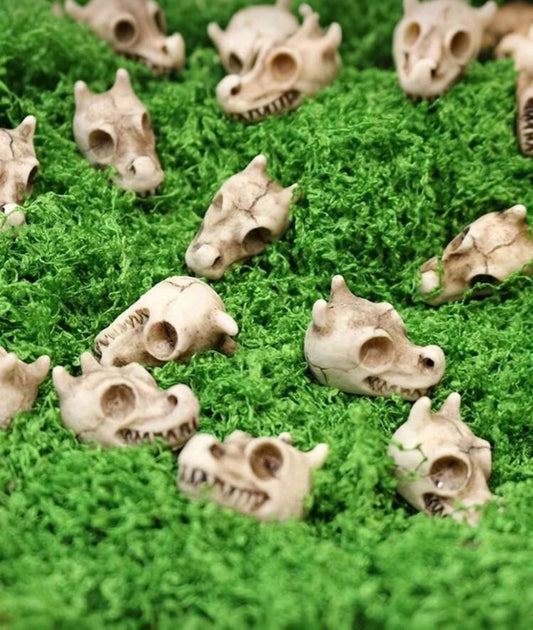 Dragon Skull Miniature Figure