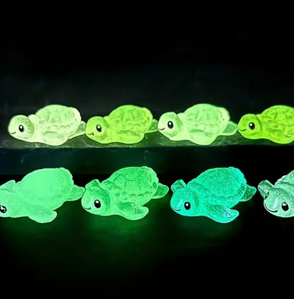 Miniature Luminous Turtle