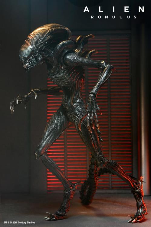 Alien Romulus Scorched Xenomorph Ultimate Figure