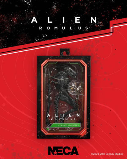 Alien Romulus Scorched Xenomorph Ultimate Figure