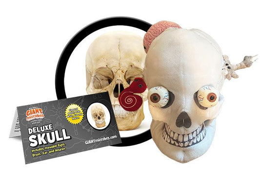 Deluxe Skull with Hidden Organs Giant Microbes Plush
