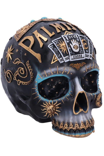 Destiny Palmistry 18cm Skull