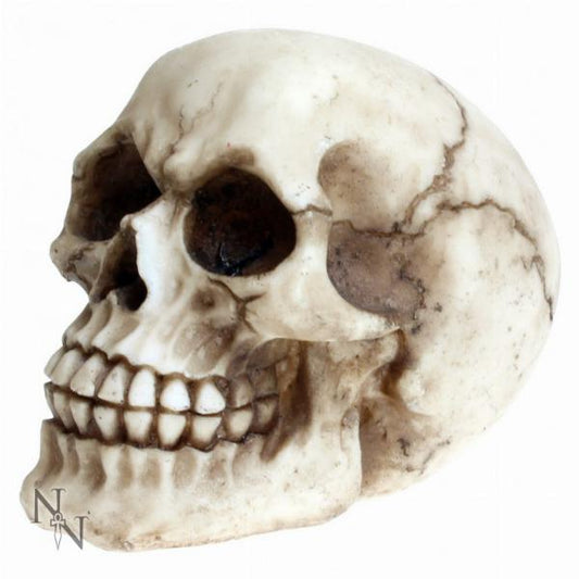 Joker 12cm Skull