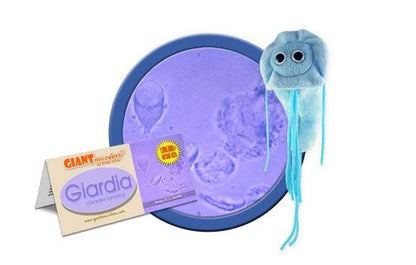 Giardia (Giardia lamblia) Giant Microbes Plush