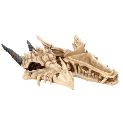 Dragon Skull Box 20cm