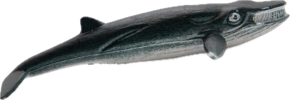 Fin Whale (Balaenoptera physalus) Small Figure