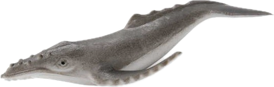 Humpback Whale (Megaptera novaeangliae) Small Figure