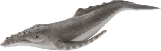 Humpback Whale (Megaptera novaeangliae) Small Figure