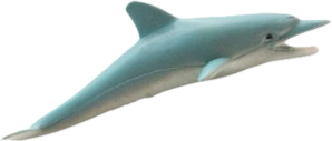 Bottlenose Dolphin (Tursiops sp.) Small Figure