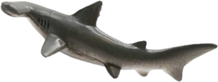 Hammerhead Shark (Sphyrna sp.) Small Figure
