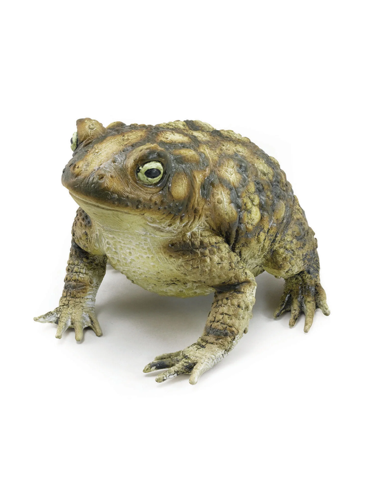 Toad (18cm) Rubber Prop