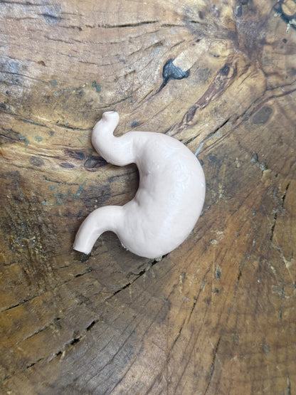 Organ Body Part Miniature Figure