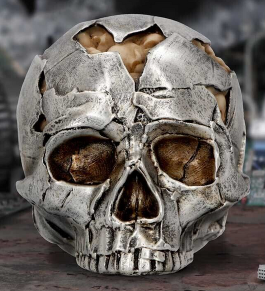 Fracture Skull (Small) 11cm