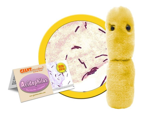 Acidophilus (Lactobacillus acidophilus) Giant Microbes Plush