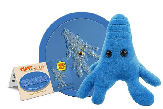 Amoeba Blue (Amoeba proteus) Giant Microbes Plush
