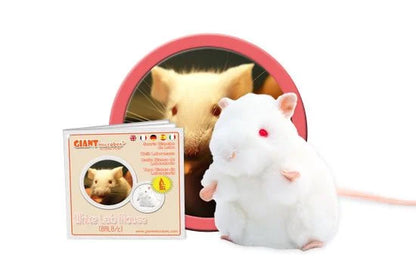 White Lab Mouse (BALB/C)