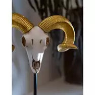 Petrifying Ram Skull Decoration