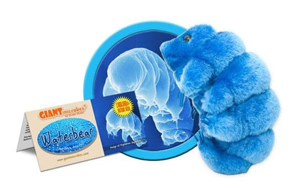 Waterbear (Tardigrade) Giant Microbes Plush