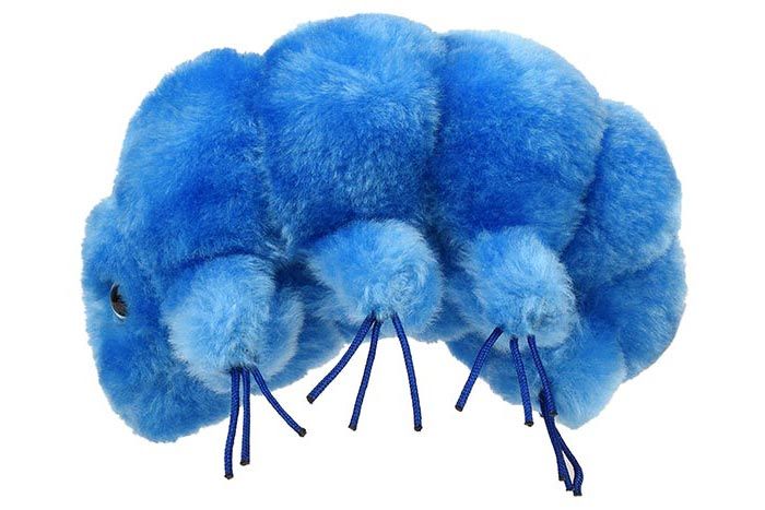 Waterbear (Tardigrade) Giant Microbes Plush