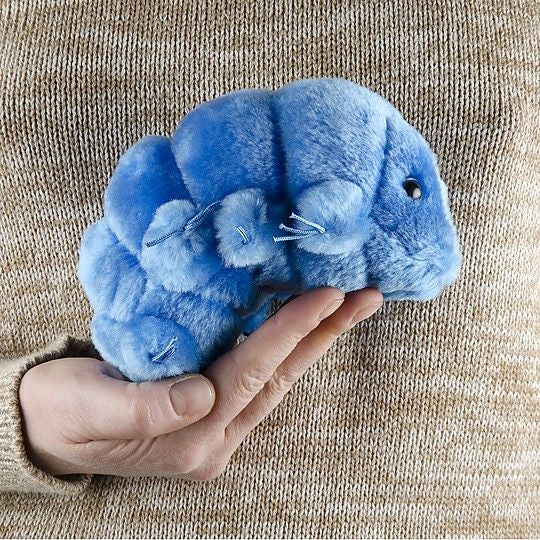 Waterbear (Tardigrade) Giant Microbes Plush