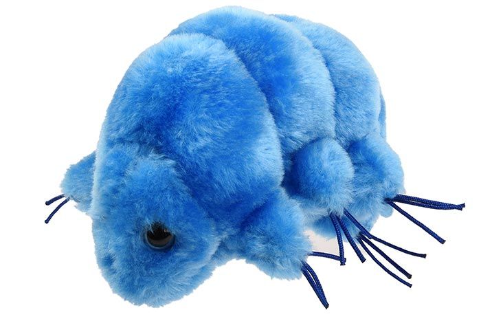 Waterbear (Tardigrade) Giant Microbes Plush