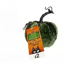 Small Velour Decorative Pumpkin