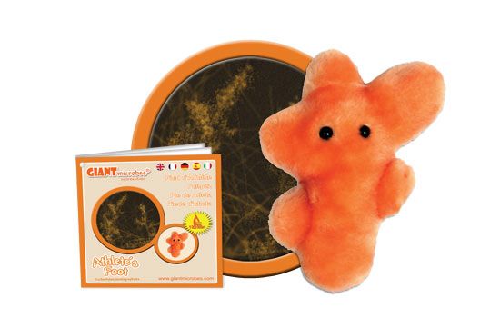 Athlete’s Foot (Trichophyton mentagrophytes) Giant Microbes Plush