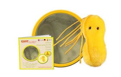 Ulcer (Helicobacter pylori) Giant Microbes Plush