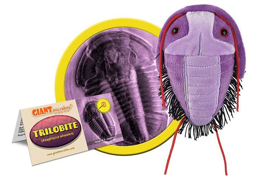 Trilobite (Asaphiscus wheeleri) Giant Microbes Plush