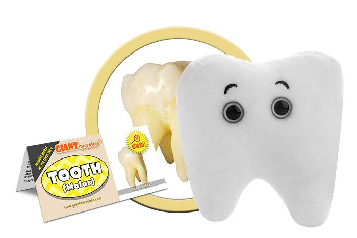 Tooth (Molar) Giant Microbes Plush