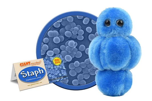 Staph (Staphylococcus aureus) Giant Microbes Plush