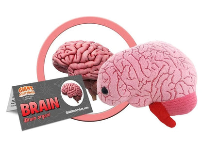 Brain Organ Giant Microbes Plush